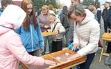 изображение_viber_2026-05-04_08-45-24-702