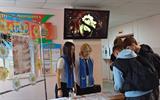 изображение_viber_2026-10-14_16-31-21-431
